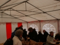 sthe2013-10.jpg